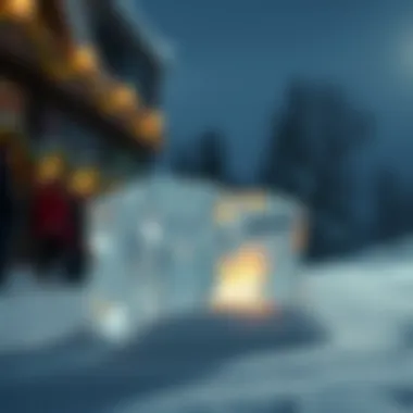 Magnificent ICE코인: 구조와 기능에 대한 심층 분석 Magnificent ICE코인: 구조와 기능에 대한 심층 분석