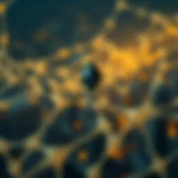 Ethereum network transition